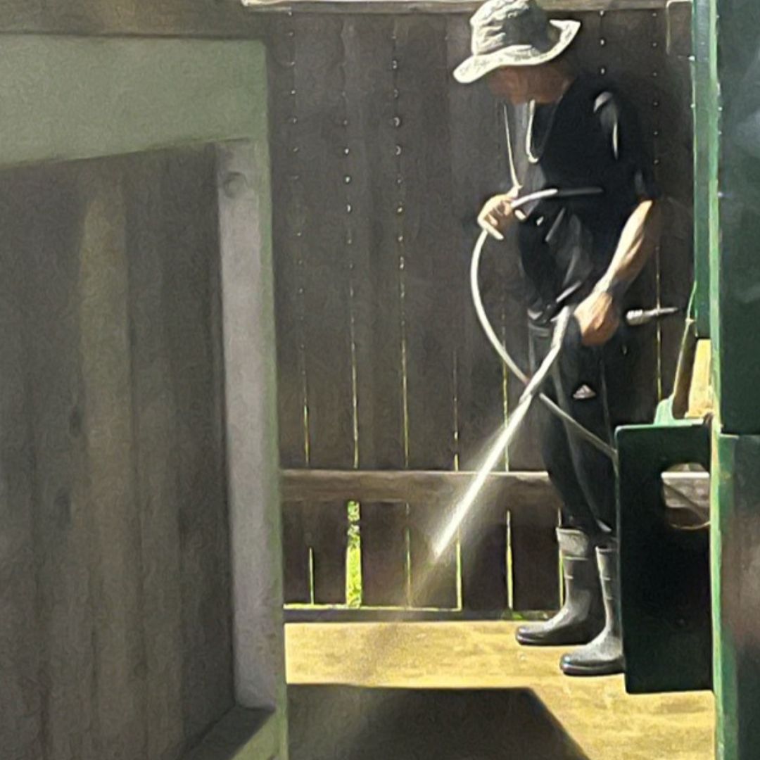 Home 11 driveway washing spring tx