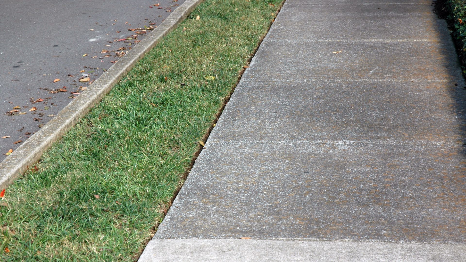 Sidewalk Cleaning Spring, TX 1 sidewalk cleaning 1 - JR4U Pressure Washing